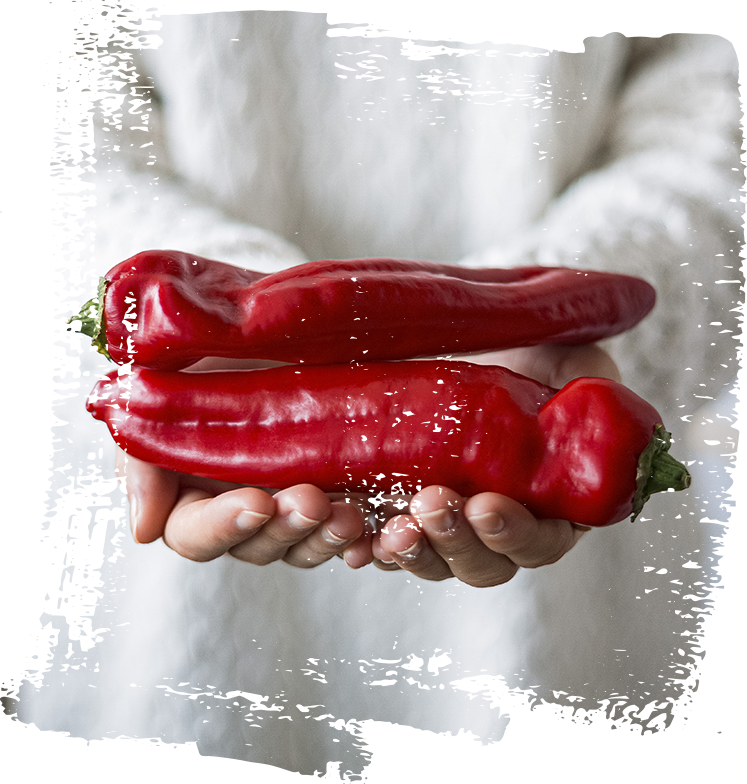 Ajvar step